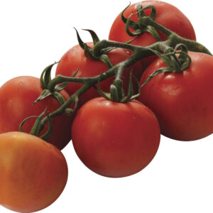 Tomaten