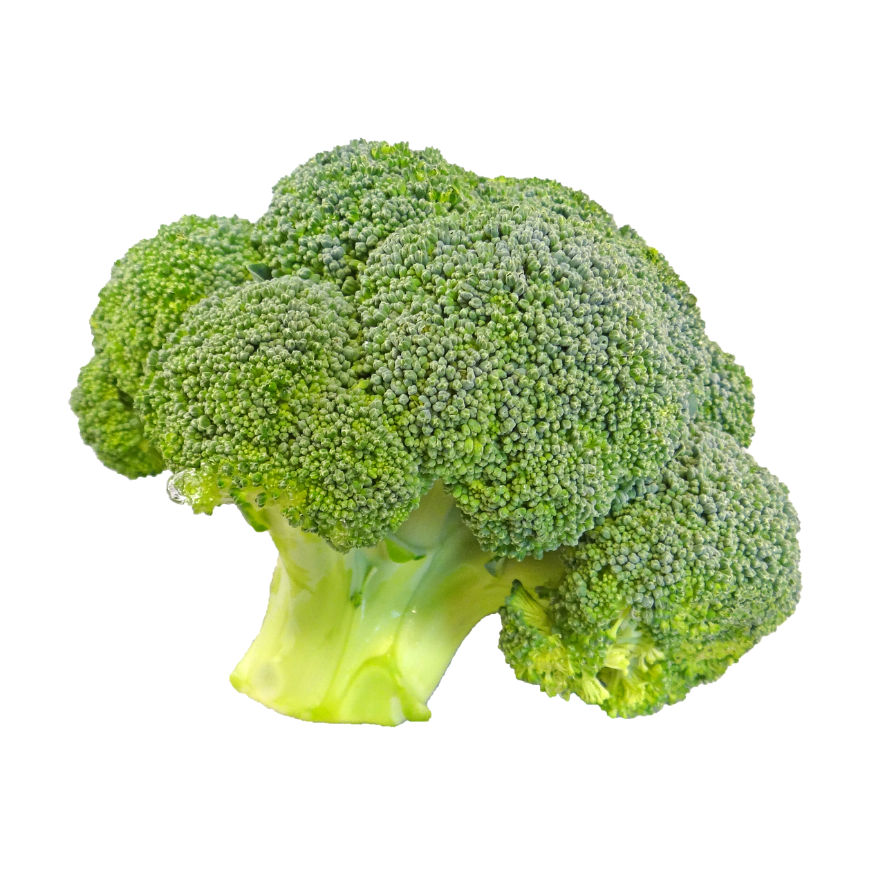 Broccoli per 500 gram Groentehal