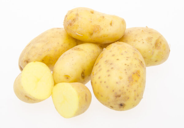 Nicola aardappelen "nieuwe oogst" per kg