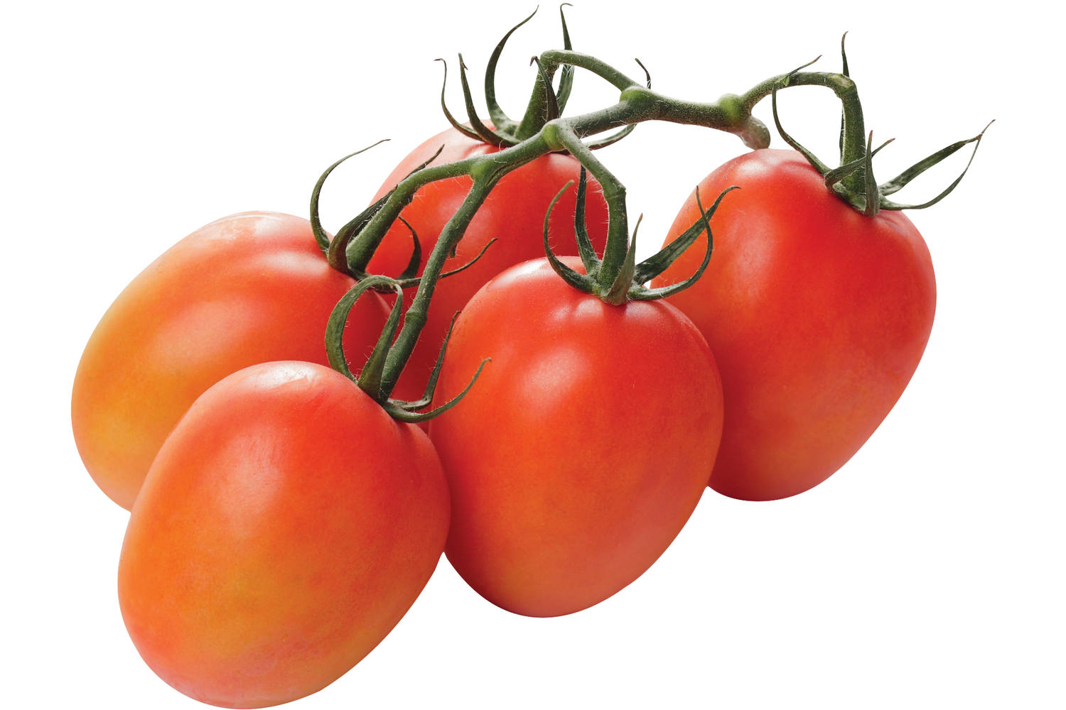 500 tomaten per Pomodori Groentehal gram - (roma)