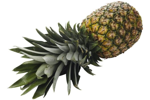 Ananas groot per stuk