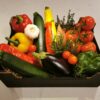 Ratatouille box