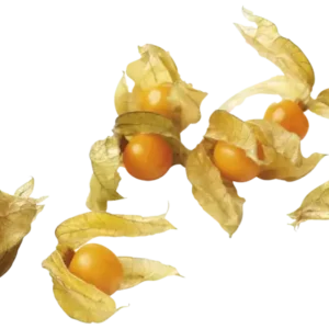Kaapse Kruibessen / physalis ds 100gr