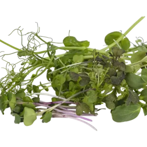 Daphne microgroenten - cress mix 7 soorten stuk - 50gr