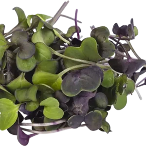 Daphne microgroenten - Sango cress - 50gr stuk